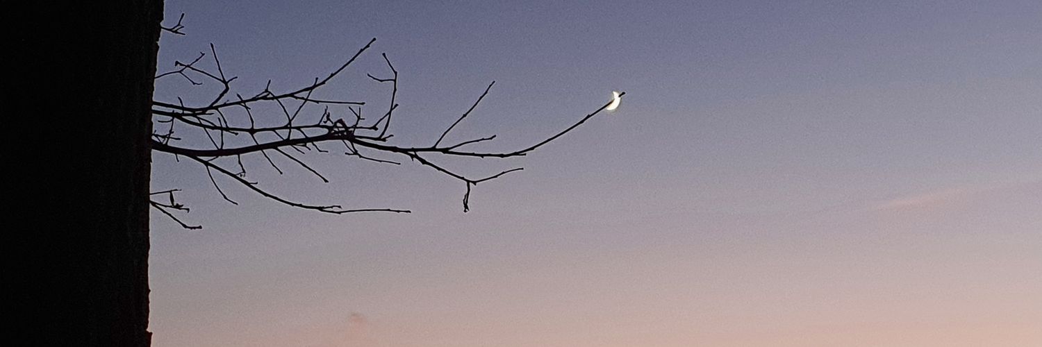 bckner's profile banner image