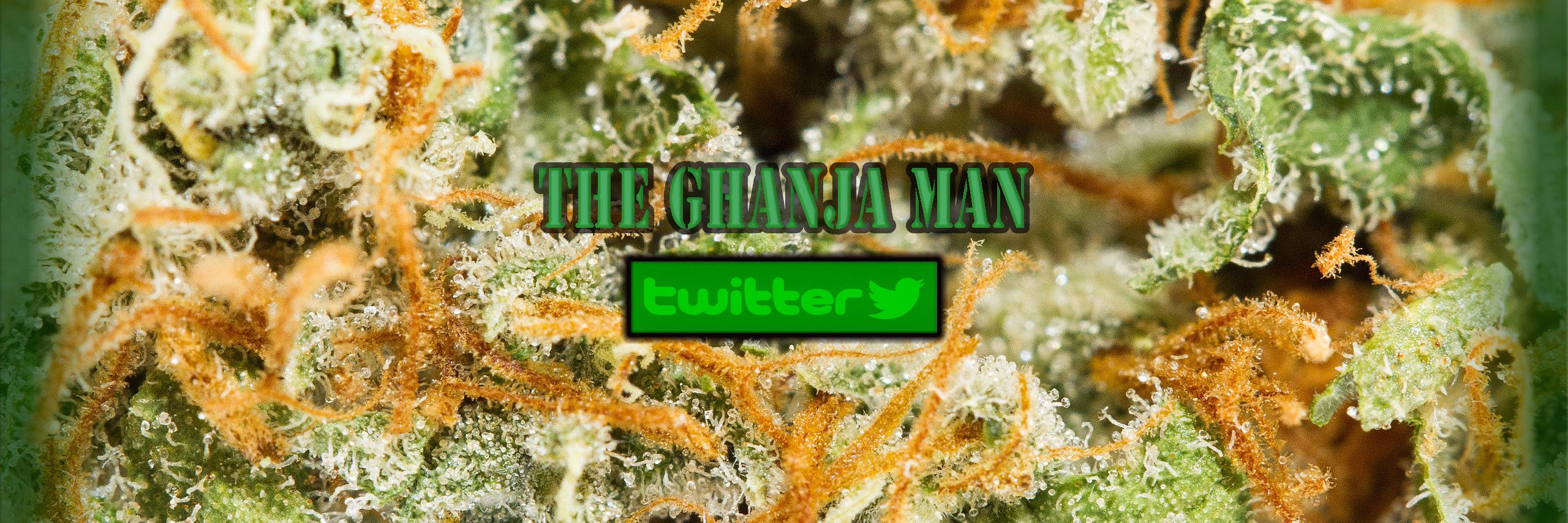 TheGhanjaMan's profile banner image