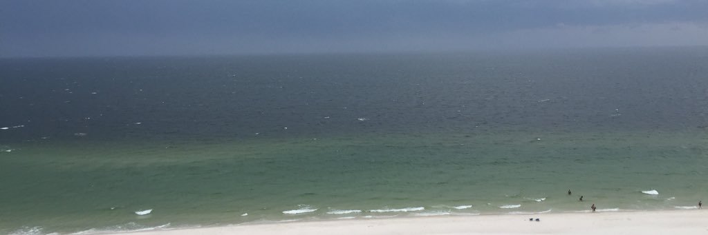 Sharon Wilder banner