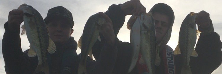 megabassmafia's profile banner image
