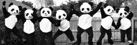 panda33_33's profile banner image