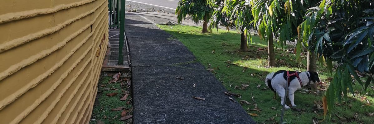 Mon_lz's profile banner image