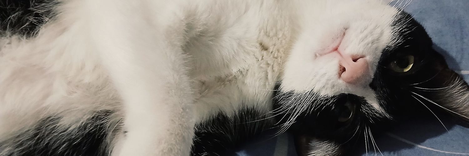 soy_sidd's profile banner image