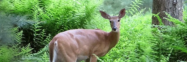 maxwellmueller's profile banner image