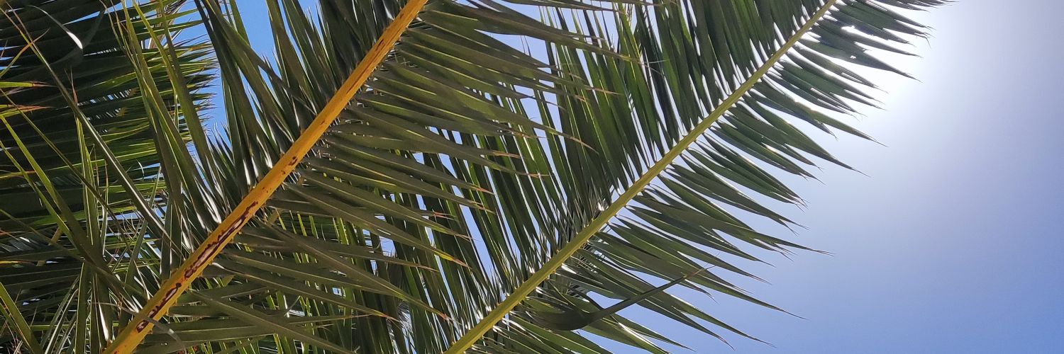 XambeLPK's profile banner image