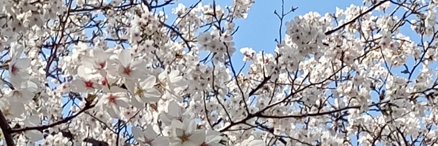 余白のひと banner