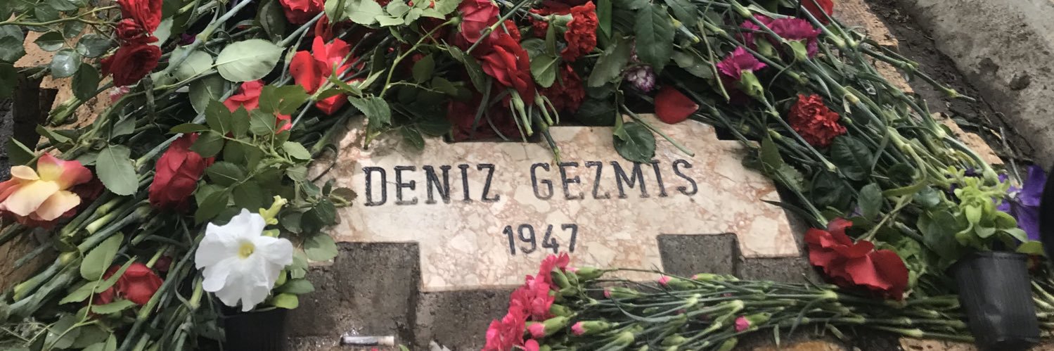 tayfungezmis's profile banner image