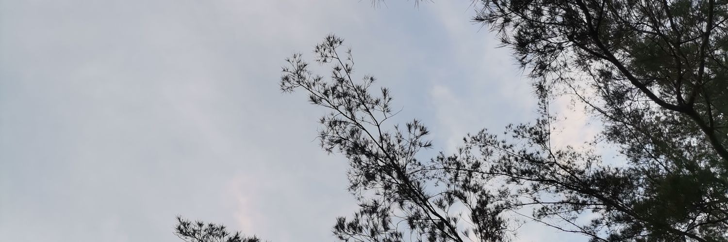 woshiten's profile banner image