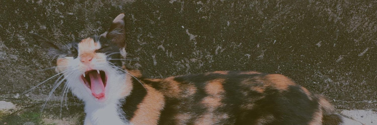 HiiNurul's profile banner image