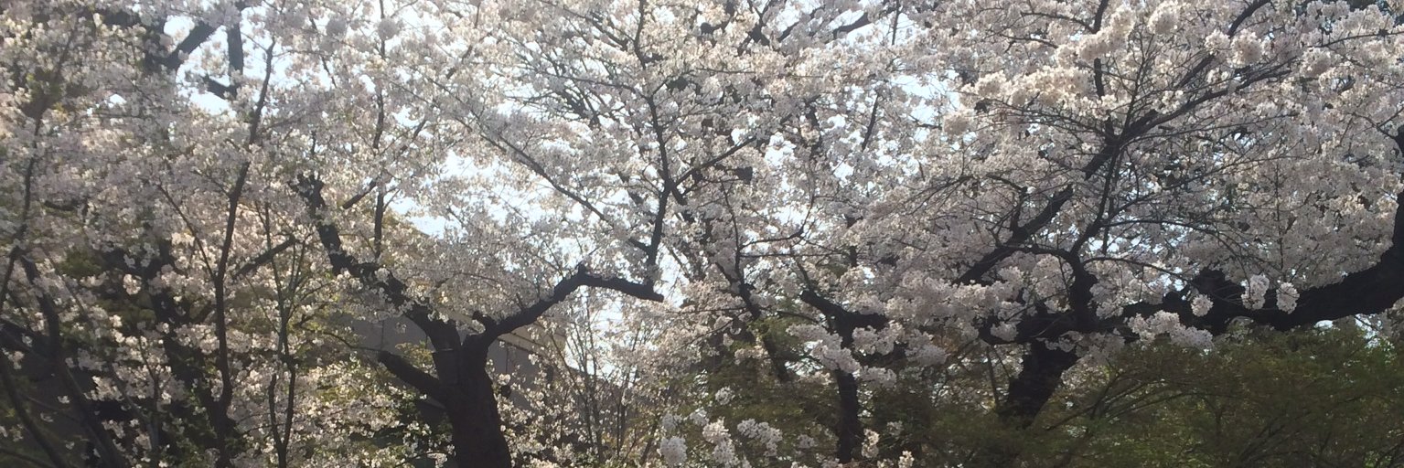 eri_tokky's profile banner image