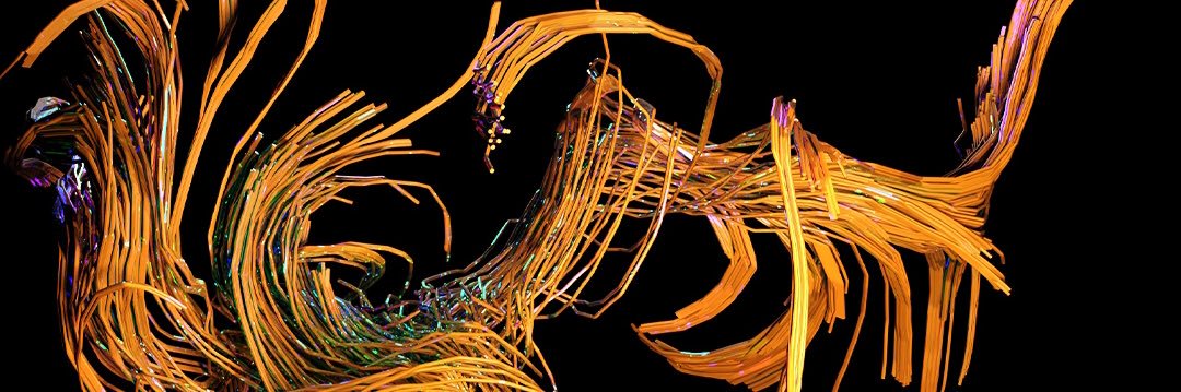 Chaske Haverkos banner