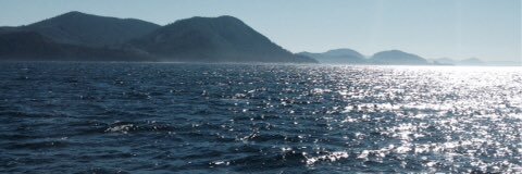 Harbourcharter's profile banner image