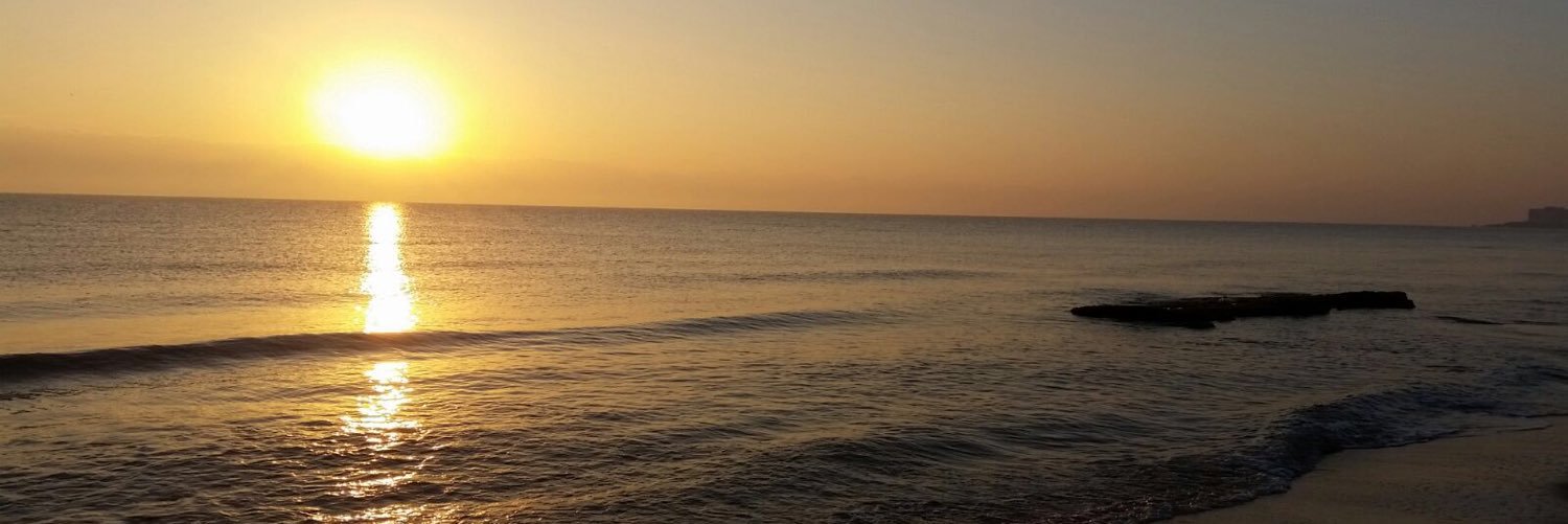 Tidelook's profile banner image