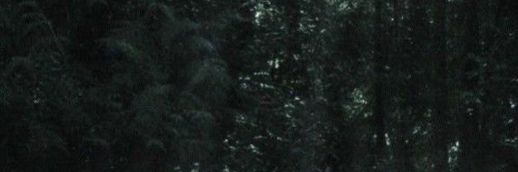 cut4shane's profile banner image