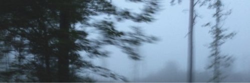 robertcmgdr's profile banner image