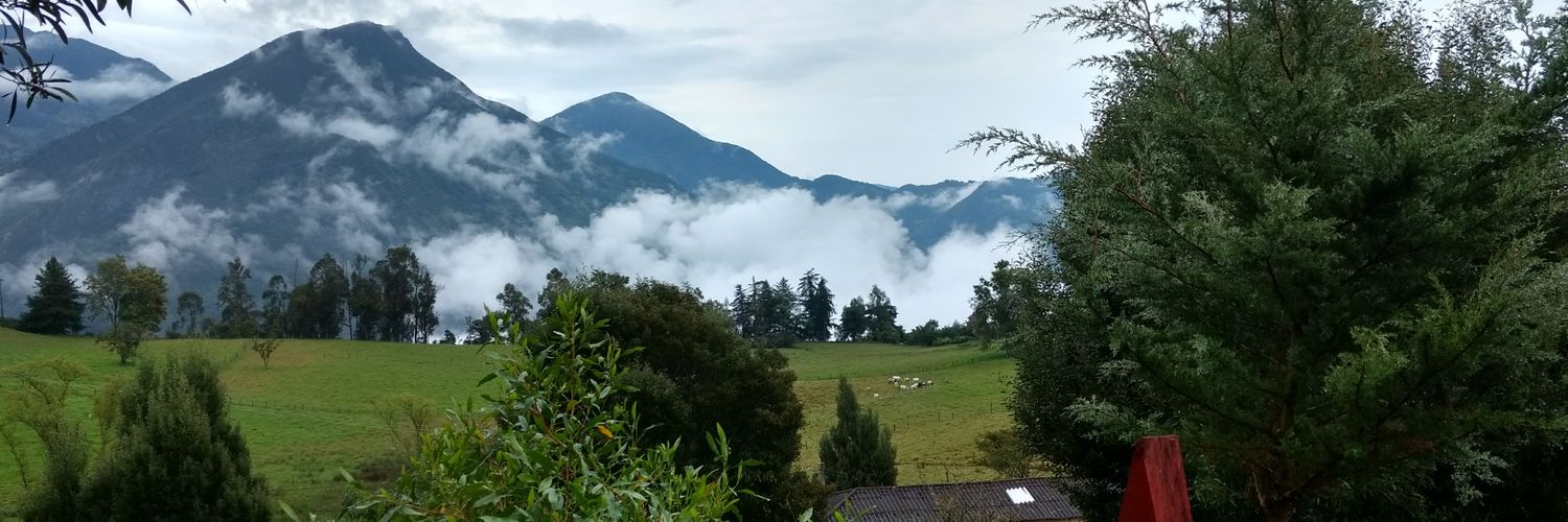 jucacola's profile banner image