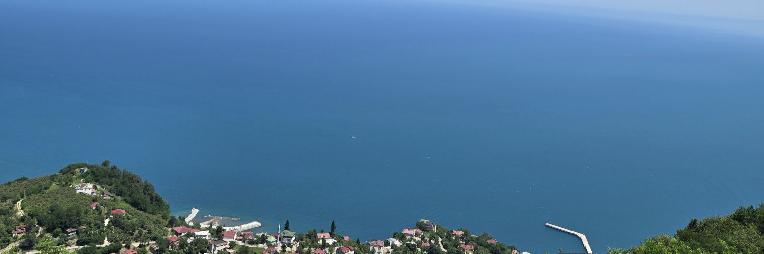 Neşve banner
