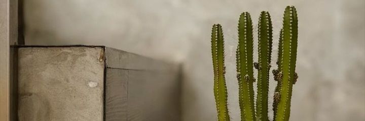 daunkelorrrnih's profile banner image