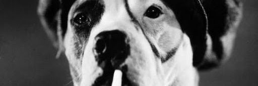 Angus27's profile banner image