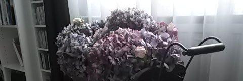 Hug Catherine banner