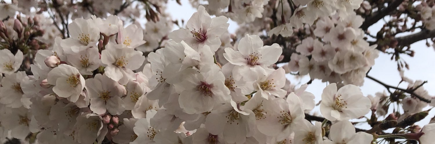 mi_flowerdream's profile banner image