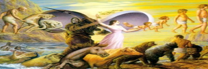 sayvari's profile banner image