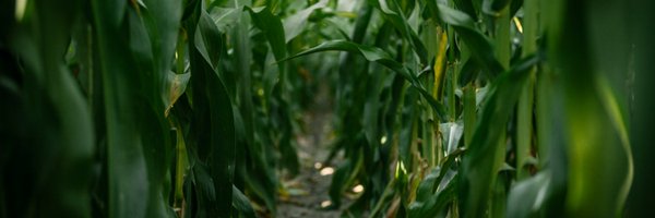POETbiofuels Profile Banner