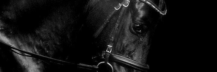 Terompah12's profile banner image