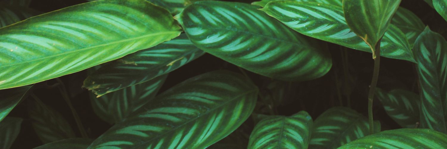 Esdrey_188's profile banner image