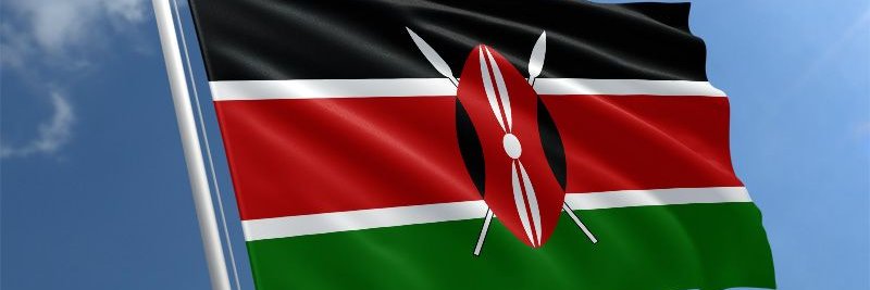 NYWELE NGUMU🇰🇪 banner