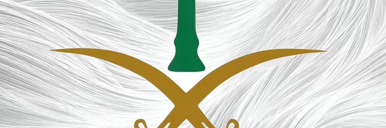 dd55tt33's profile banner image
