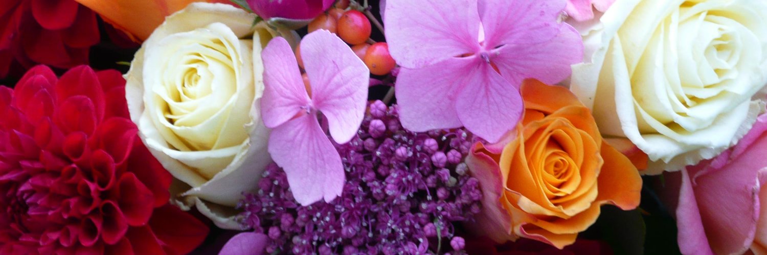 themagnoliababe's profile banner image