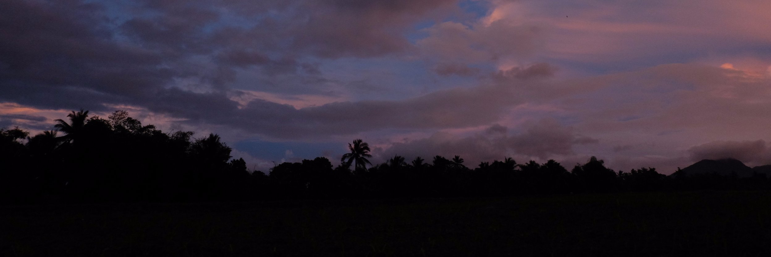 gellymely's profile banner image