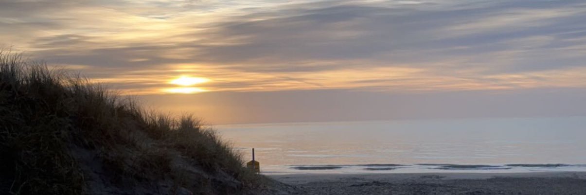 mollfranx's profile banner image