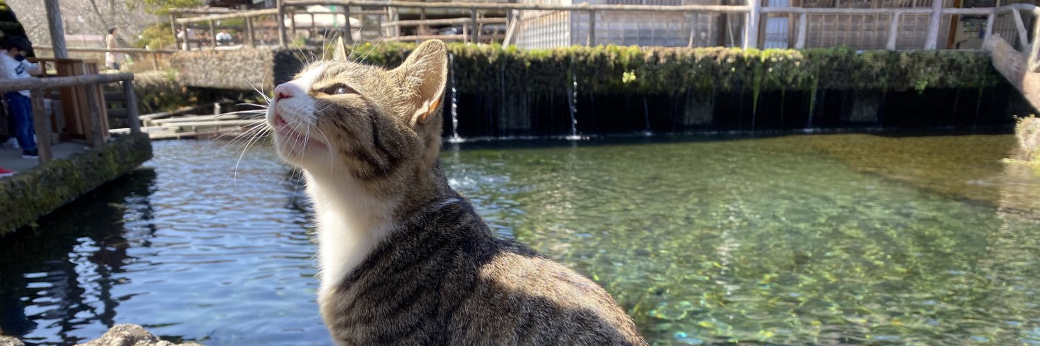 blackcatx666's profile banner image