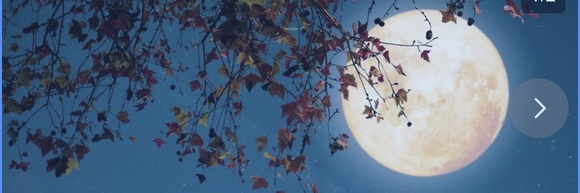 taka37_hello's profile banner image