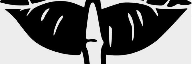 Pinkluv21's profile banner image