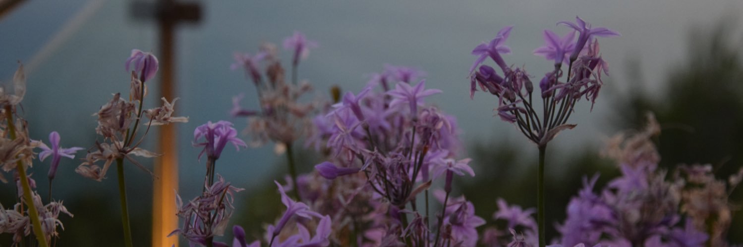 alex_dvy's profile banner image