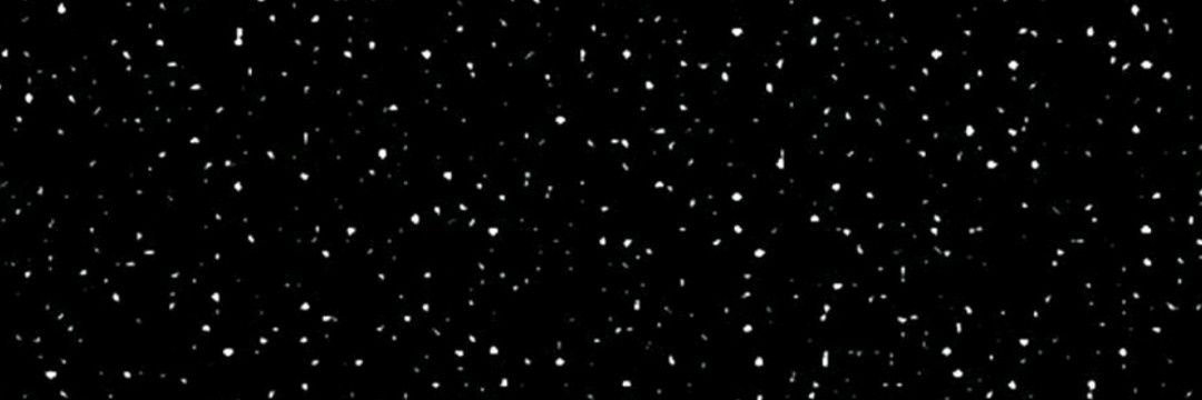 BeaRequena's profile banner image