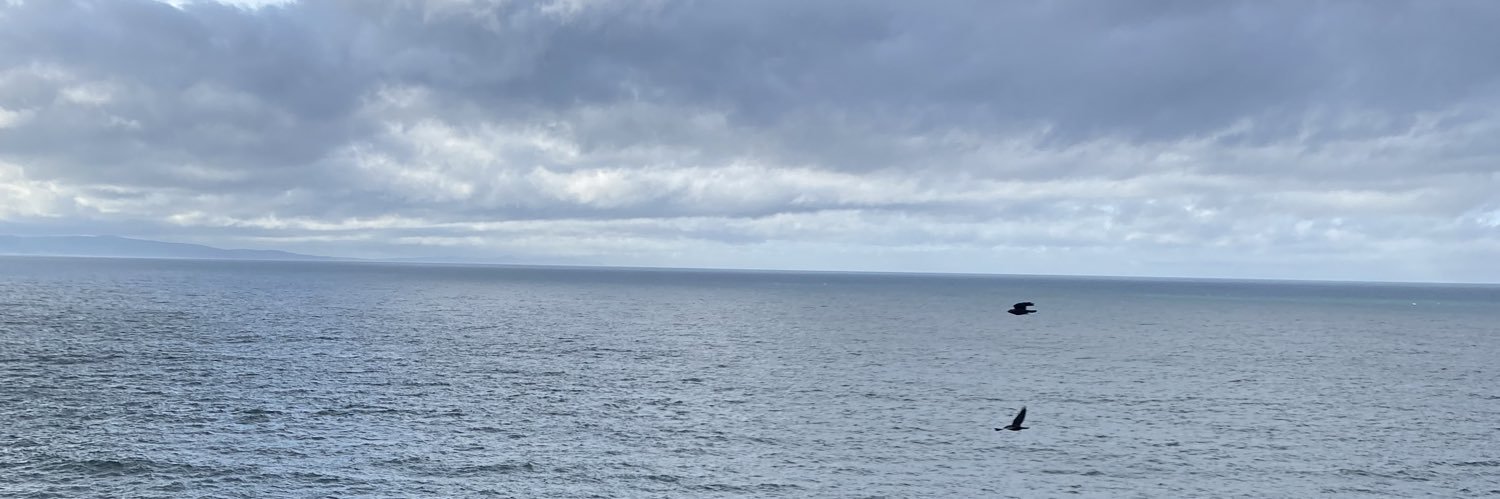tefy_cs2's profile banner image