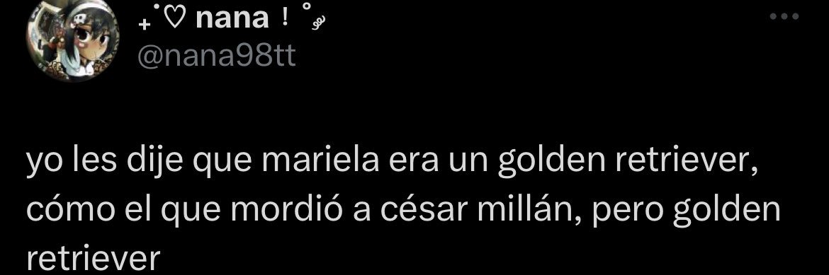 alma marcela banner