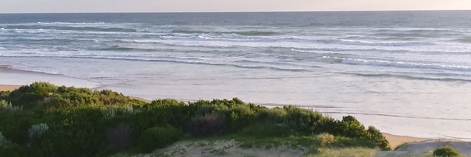 quillmama's profile banner image