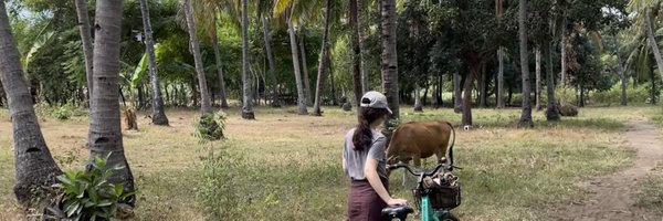 PaulaTorradoCh Profile Banner