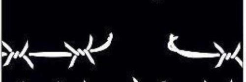 Zrael🇳🇬 banner