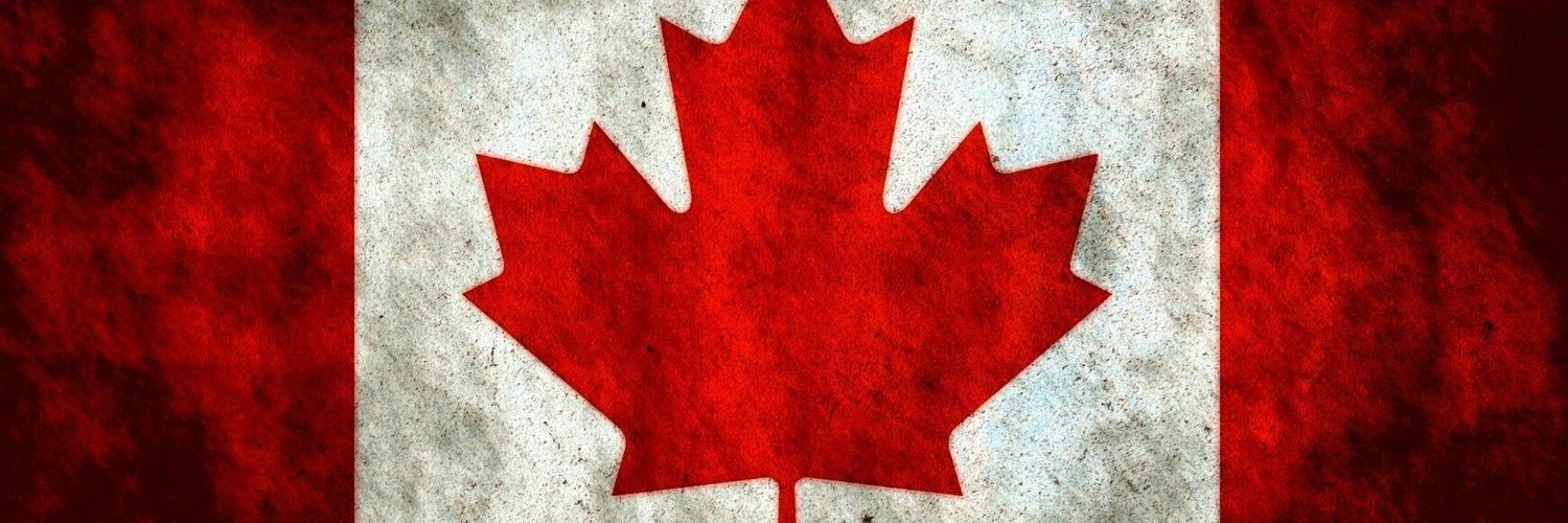 David Vainqueur banner