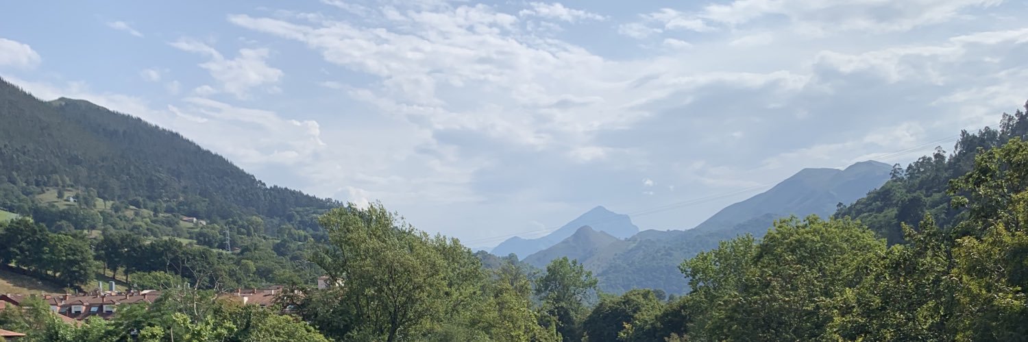 silviaparejo2's profile banner image