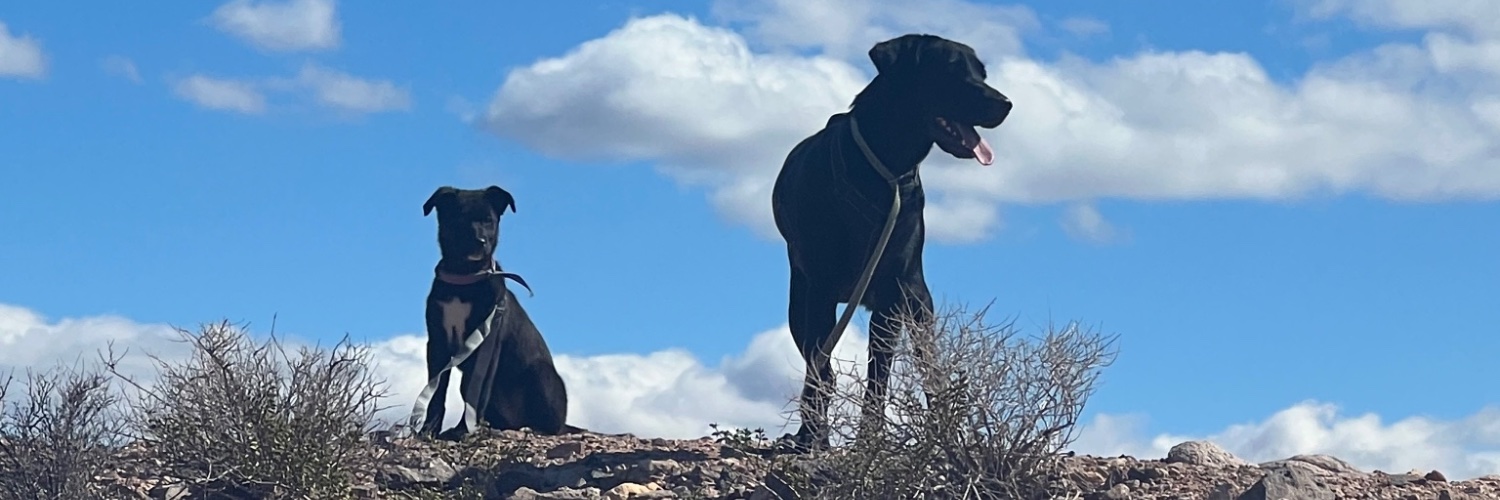 theresamarbles's profile banner image