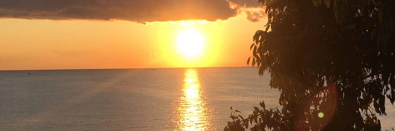 Lynnvanvlerken's profile banner image