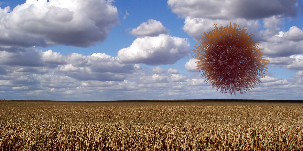 punkasspaul's profile banner image