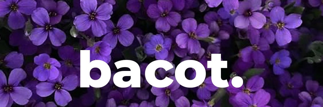 Racc0on__'s profile banner image